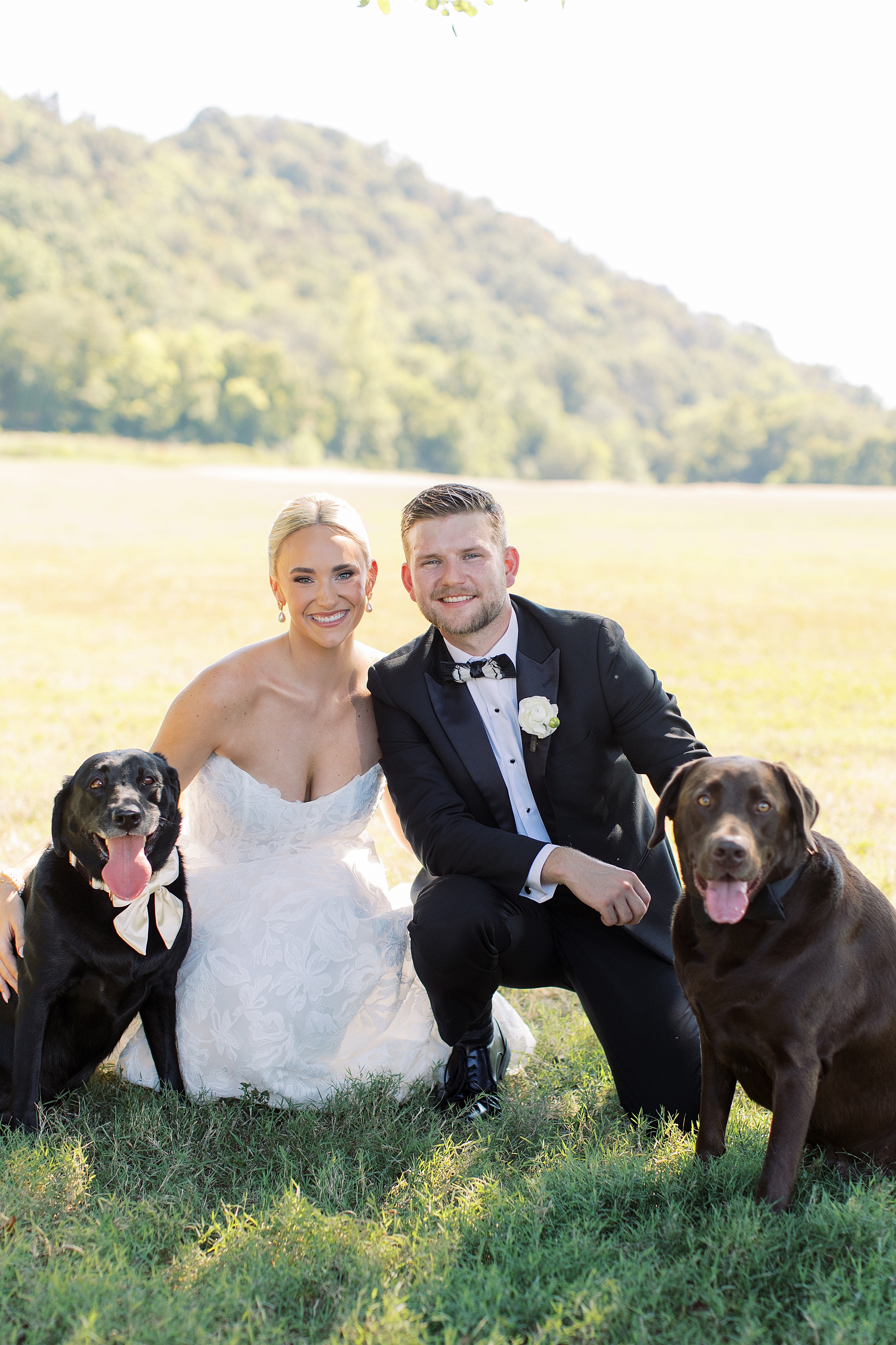wedding portraits with dogs