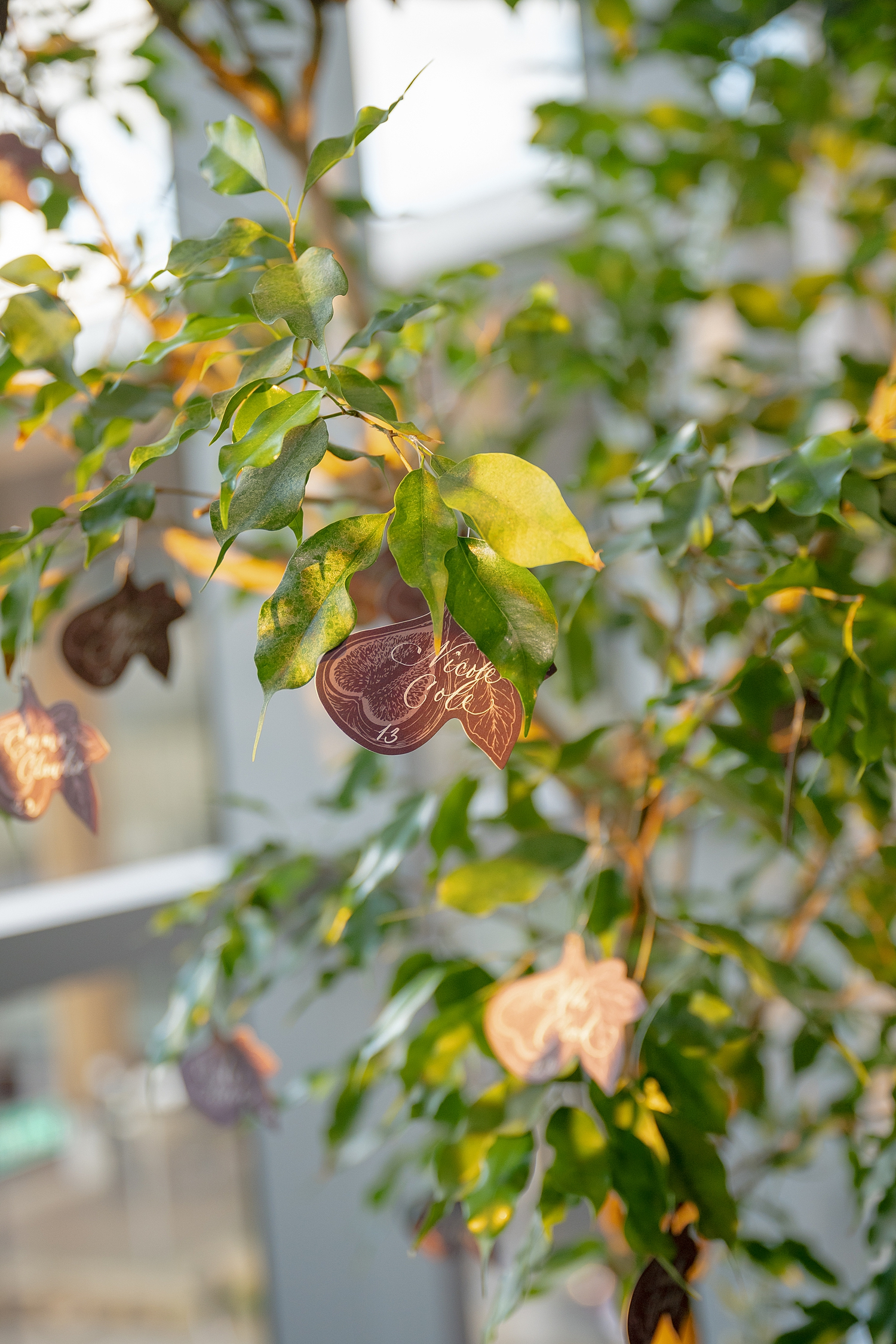 escort cards in shape of figs hanging from tree 